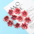 Pink and red gradient artificial plum blossom flower heads for DIY crafts and decor - Champagne Red