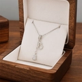 Collier hip hop argenté avec pendentif double gourde et zircons dans une boîte en bois - 8888-argent