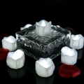 Flickering white LED tealight candles with faux drip effect and rose petals on black background - Standard Function / Cool White Flickering