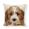 Linen cushion cover with cute puppy print and realistic dog head design for home decor - Square (No Insert) / Brown and White Curly Puppy Style (AB6821-11)