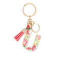 Transparent resin letter U keychain with fruit slices, red tassel and golden hardware - Letter U