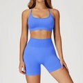 Ensemble de yoga bleu roi sans couture avec haut court côtelé et short taille haute - S / Haut Et Bas / Bleu saphir