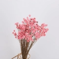 Pink dried star flowers bouquet in a golden geometric vase for DIY floral decoration - Pink