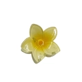 Translucent yellow and white plumeria flower hair claw clip with a glitter finish - Maple Leaf Claw / Yellow