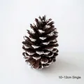 Piña natural con acabado de nieve blanca, pieza única de 10-12cm para decoración - Piña de Pino con Nieve 10-12cm Individual