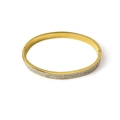 Elegant gold titanium steel bracelet with double row crystal pavé on a white background - Gold