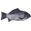 Realistic fish-shaped plush pencil case with high-fidelity scales and clear 3D textures - Crucian Carp (With Internal Organs)