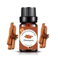 10ml natural cinnamon essential oil in dark glass bottle with spice decorations - 10ml / Cinnamon