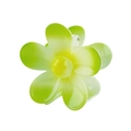 Detail of flower hair claw clip with green to yellow gradient on white background - Green Gradient