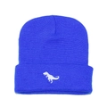 Detailed view of ribbed blue knit beanie featuring white dinosaur silhouette embroidery - Sapphire Blue