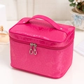 Pink satin makeup bag with butterfly embossing, top handle, and dual metal zippers - Rose Red Butterflies
