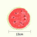 Watermelon plush squeaky dog toy with realistic 13cm diameter fruit slice design - New Watermelon