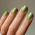 Short square press-on nails in glossy avocado green finish with high-shine surface - Glue Type / Avocado Green (JP3158)