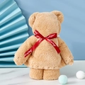 Camel colored coral fleece bear towel with a red ribbon for wedding gift favors - Little Bear Khaki (without Packaging) / 30*30cm