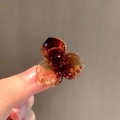Mini molletta per capelli a fiore ambra con design trasparente a tre petali - Trifoglio / Caramello