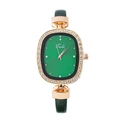 Elegant women's quartz watch with green dial and rose gold rhinestone oval case - Green