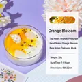 Orange blossom scented candle in shell design with gold sequins and pearls in clear glass - Shell Glitter / Yellow / Orange Floral