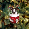 17-Boston Terrier/Frenchie