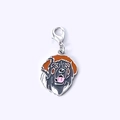 Porte-clés pendentif Bouvier Bernois en émail avec fermoir mousqueton argenté pour sacs - 43 Léonberg