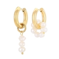Elegant gold-tone titanium earrings with asymmetric pearl charms in minimalist white style - Gold Asymmetric Irregular Pearl Style (KE106217-WGJD)