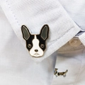 Boston Terrier