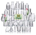 30 Pack assortment of transparent glass bud vases with various embossed textures and shapes - Clear (30 Pieces Set)