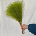 Close-up of hand holding 55cm artificial green pampas grass with fluffy feathers - 53-55cm / Grass Green