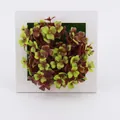 Artificial succulent wall art in white square frame measuring 15cm for home decor - Style 15A