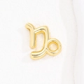 Macro detail of polished gold Capricorn zodiac sign pendant with smooth metallic finish - Capricorn