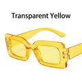 Fashionable retro square sunglasses featuring a thick transparent yellow resin frame - Transparent Yellow