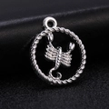 Macro shot of silver zodiac Scorpio charm with a twisted rope border for DIY jewelry - Style 12 / Antique Silver