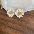 Detailed view of daisy stud earrings featuring white petals and golden floral centers - Silver Earring Post Style (139#) / White