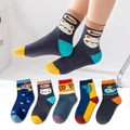 5-pack children's crew socks featuring bear, dinosaur, and whale cartoon patterns - Whale Children's Socks / 3-5 Years (Feet length 13-15cm)