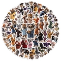 Set of cartoon animal stickers with fox, panda, and lion wearing bathrobes for kids - Animals Drinking Coffee (YCK129) / 50 Sheets