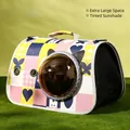 Portable pet carrier with colorful geometric patterns and tinted capsule window on grass - Colorful Butterfly