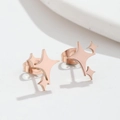 Pendientes de estrella en acero inoxidable con baño de oro rosa de 18K y acabado pulido - Oro Rosa