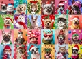 24-box advent calendar jigsaw puzzle with 1008 pieces featuring festive pets and dogs - Christmas Pets with Accessories Illustration Style (SH-77)
