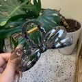 Pinza para el pelo grande con forma de mariposa gris transparente y muelle metálico dorado - 10.5cm / Negro Transparente