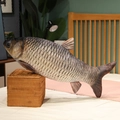 Detailed realistic fish plush pillow with high-definition digital scale printing - Black Carp
