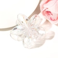 Iridescent transparent frangipani flower hair claw clip with sweet candy-colored finish - 8cm / Iridescent Transparent White