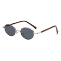 Lunettes de soleil ovales rétro avec monture dorée et verres gris foncé au style épuré - Dégradé Multicolore / Monture Dorée Verres Gris
