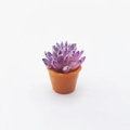 Miniature purple succulent dollhouse plant in a small orange plastic pot - 13mm*23mm / Yellow Pot Purple Succulent