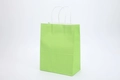 Green kraft paper gift bag with white twisted rope handles on a clean white background - Medium Vertical 21*11*27cm / Light Green