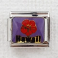 Italian charm link with purple enamel Hawaii floral design and golden lettering - Hawaii Flower