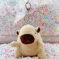Plush Capybara keychain accessory with silver lobster clasp on colorful foam background - Light Brown Basic + Silver Clip
