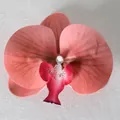 Testa di orchidea phalaenopsis rosa corallo artificiale con perla per artigianato - Pellicola 3D Rosa Carne N. 2 (Grande)