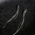 Close-up detail of elegant silver tassel earrings with sparkling cubic zirconia stones - Double Layer Tassel Earrings And Ear Clip Set / Silver