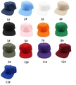 Grid layout showing 13 different colors of solid flat brim hip hop baseball caps - One Size / Mixed Colors Shipped Randomly