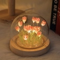 Single Glass Dome (No Flowers No Base) 16 Pink Tulips
