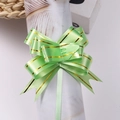 Green pull bow ribbon with gold stripes for Christmas gift wrapping and party decor - Light Green Gold Edge